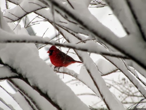 Snowflakes are one of a kind…