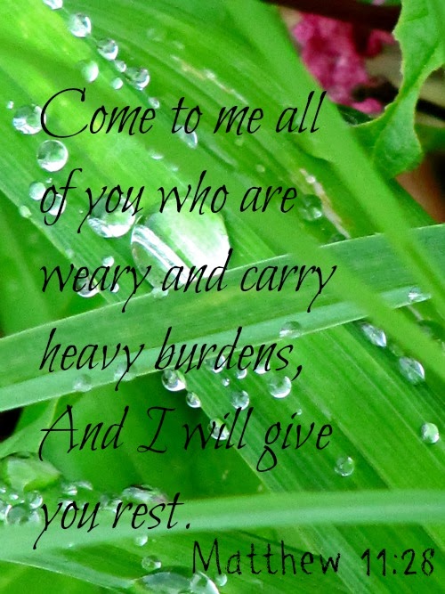 Silent Sunday