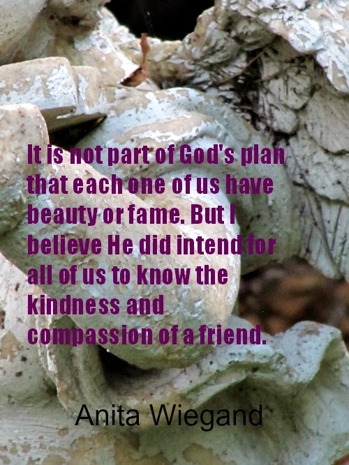Silent Sunday