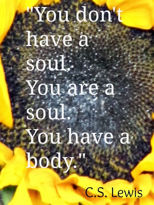 Silent Sunday