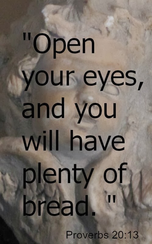 Silent Sunday