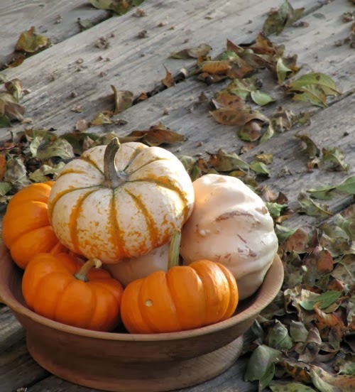 10 Pumpkin Recipes for Fall