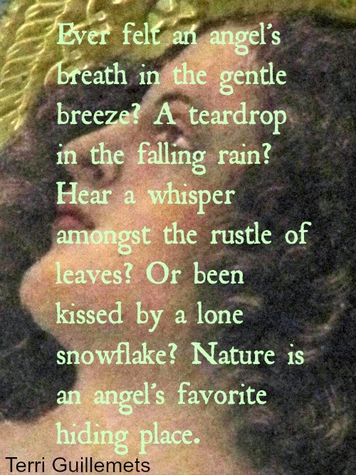 Silent Sunday 1-20-2013
