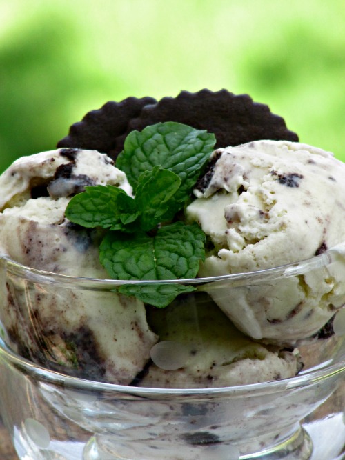 Trader Joe Joe’s Chocolate Vanilla Bean Ice Cream (Cookies & Cream)