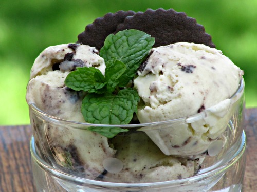 A clear glass bowl with 2 scoops of Trader Joe Joe's Chocolate Vanilla Bean Ice Cream, a sprig of mint and 2 chocolate cookies. 