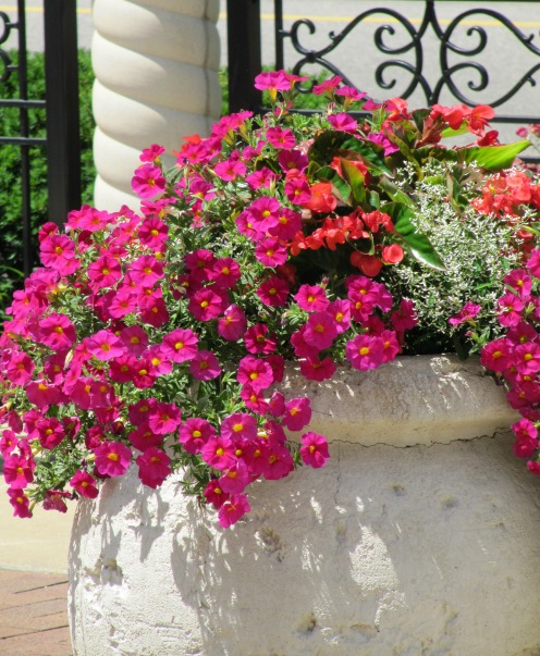 Favorites on Friday: Summer Salad, Fashion, Movies and More!