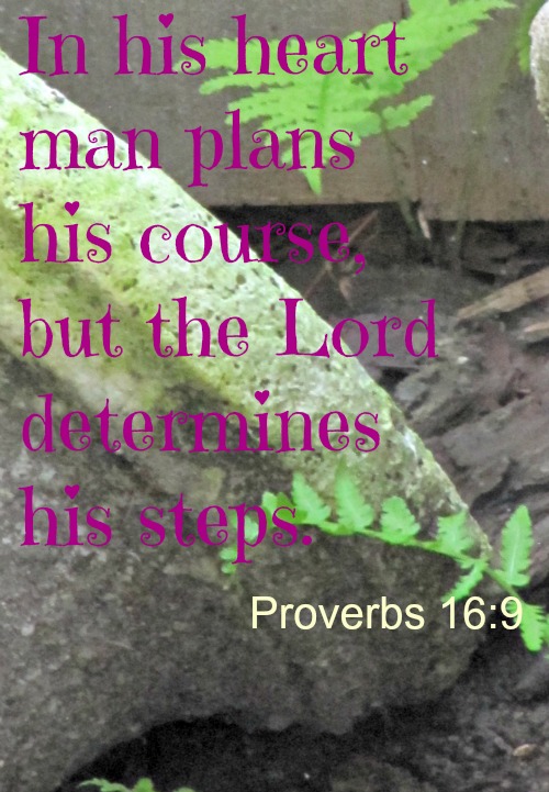Silent Sunday 6-30-2013