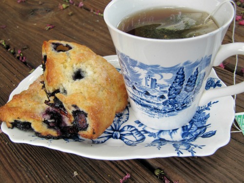 Blueberry Scones and Summer Sights
