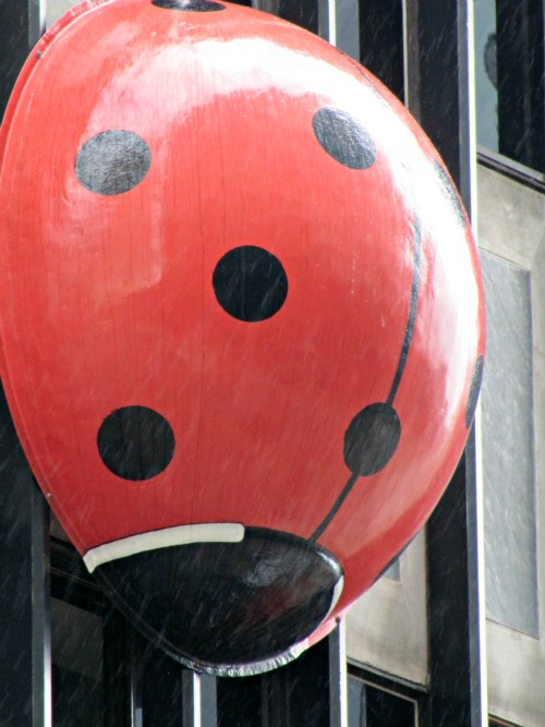 lady bug sculpture on the side of a building.