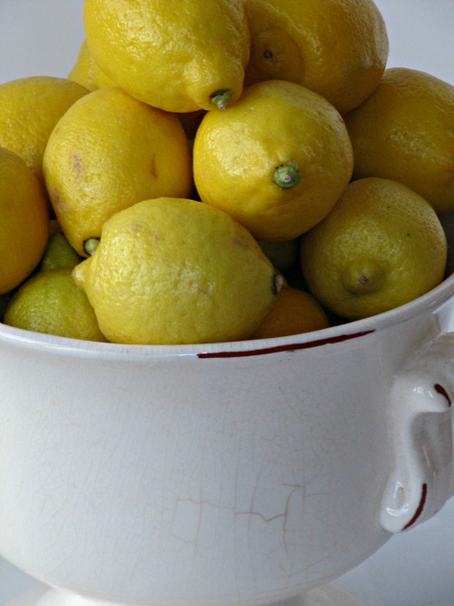 a white distressed bowl with lemons. 