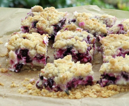 EASY BLUEBERRY CHEESECAKE BARS WITH CRUMBLE TOPPING