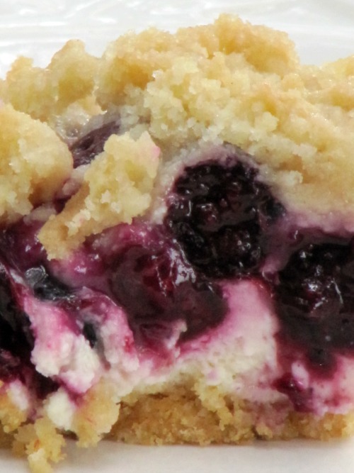 Closeup of blueberry-cheesecake bars with crumble topping. 