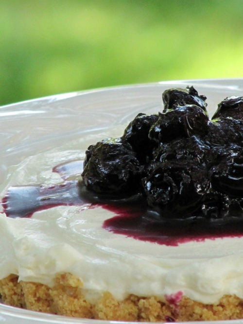 No-bake blueberry cheesecake. 