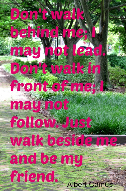 Silent Sunday 8-25-2013