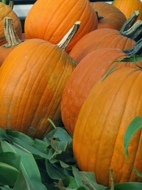 Maine Farmer’s Markets