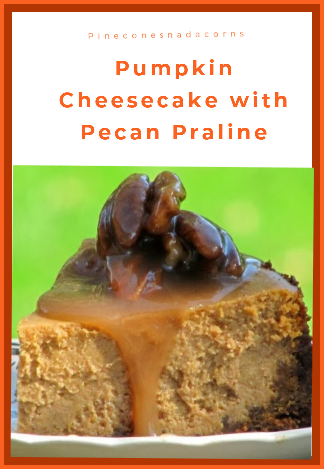 Pumpkin cheesecake with pecan praline sauce.