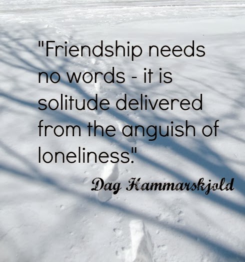 Silent Sunday 2-23-2014