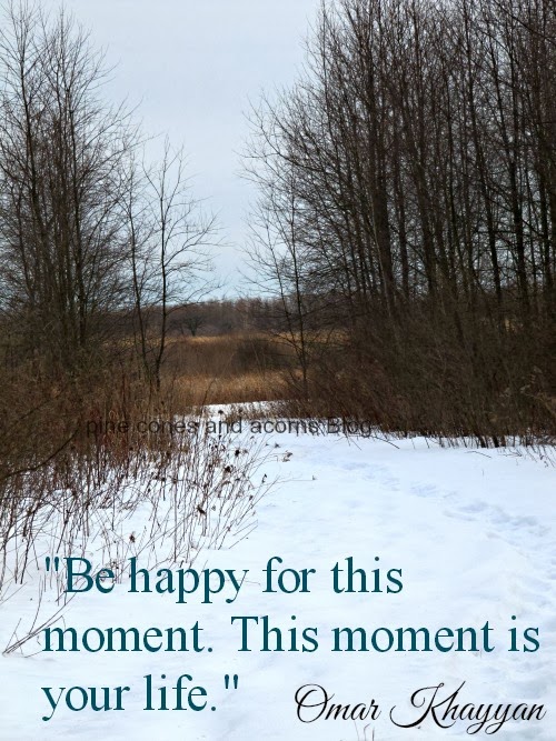 Silent Sunday 3-2-2014