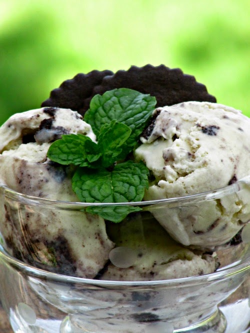 Trader Joe's Jo Jo ice cream