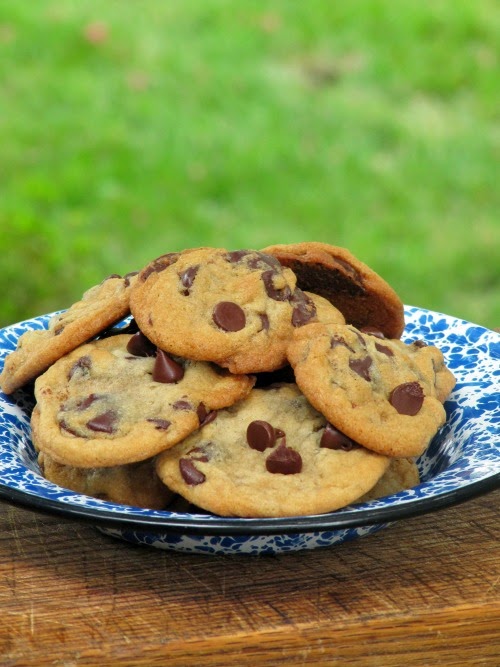 Chocolate chip cookies on a blue and white spatterware plate. 