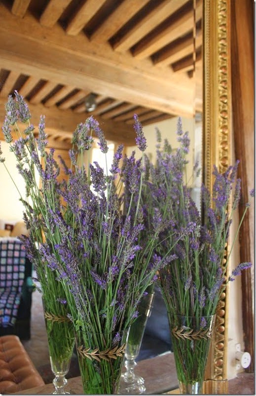 lavender springs in clear glass vases sitting in front of a mirror. 