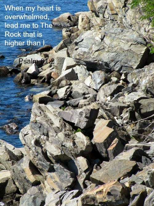 Silent Sunday 11-2-2014