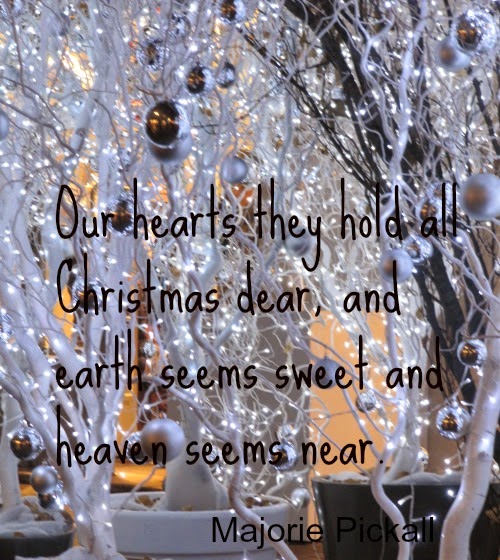Silent Sunday 12-14-2014