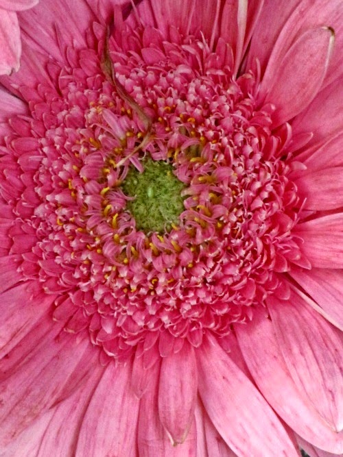 Valentines Day Thoughts