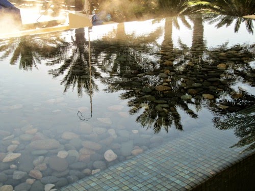 Dreaming of Summer at the Omni Amelia Island Plantation & Resort