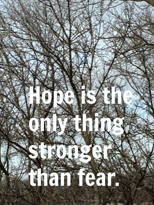 Silent Sunday 2-22-2015