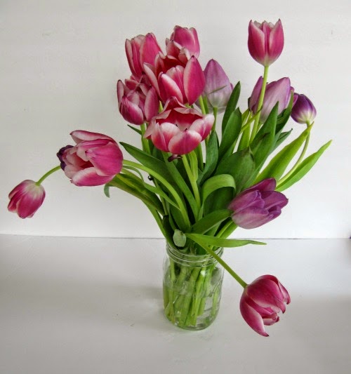 Thinking of Spring and Beyond!