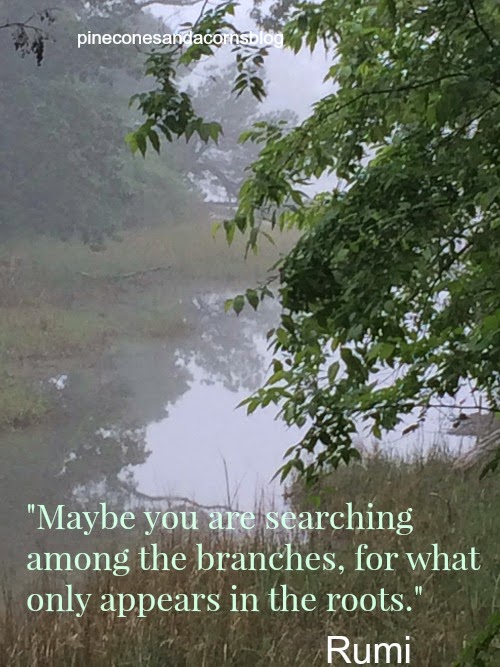 Silent Sunday 4-26-2015