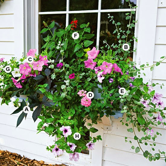15 Container Garden Ideas for Spring and Summer