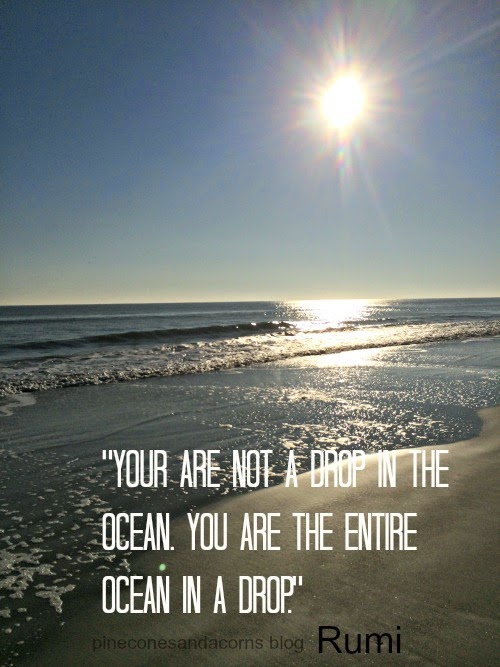 Silent Sunday 4-12-2015
