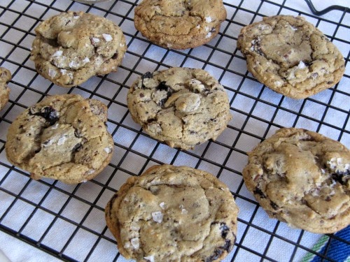 salted-triple-chocolate-cookies on a wire rack.