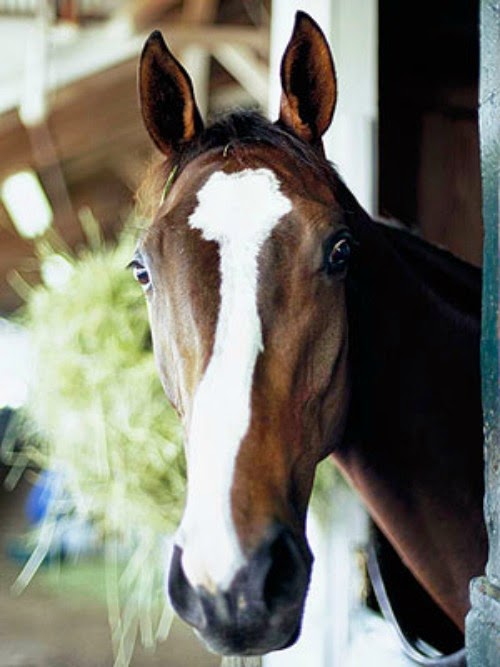 15 Fabulous Kentucky Derby Party Ideas