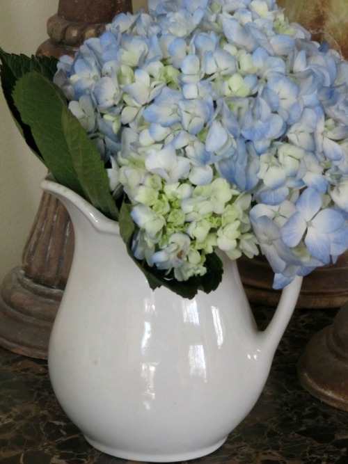 Friday Favorites from Pretty Petals, The Scribe,  Nine + Sixteen and More