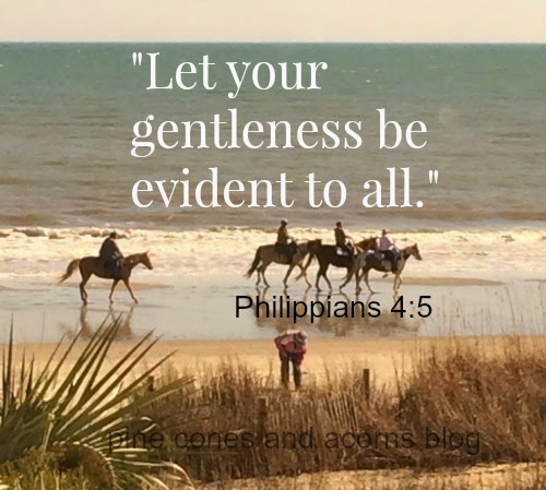 Silent Sunday 5-24-2015