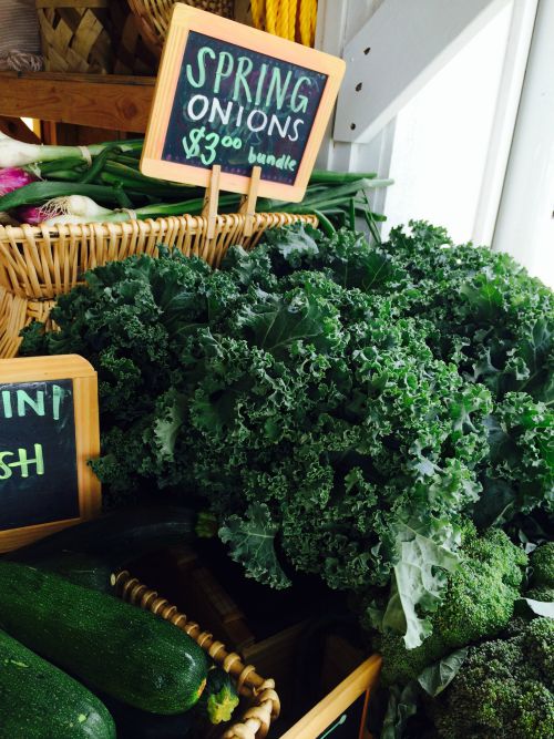 Summers Bounty