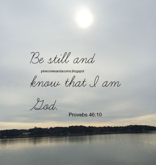 Silent Sunday 8-30-2015
