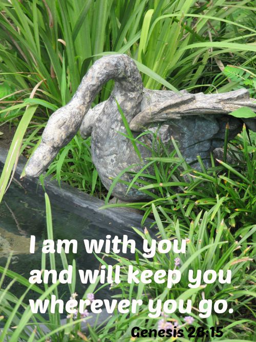 Silent Sunday 9-20-2015
