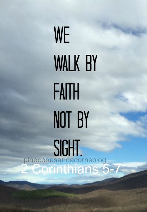 Silent Sunday 9-27-2015