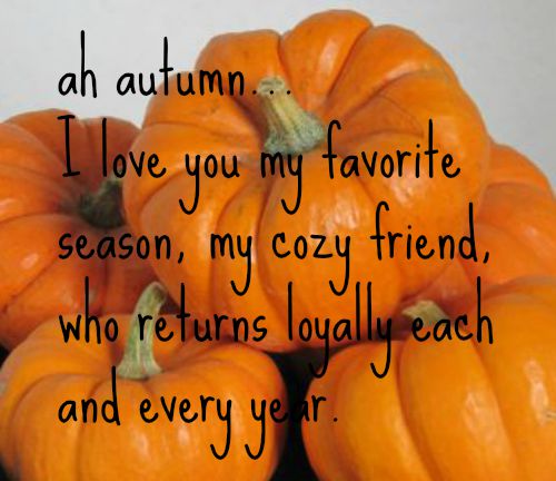 Fall Bucket List