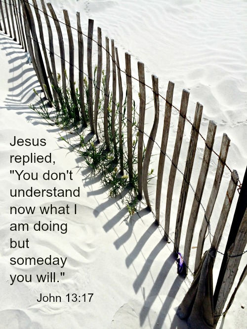 Silent Sunday 10-18-2015