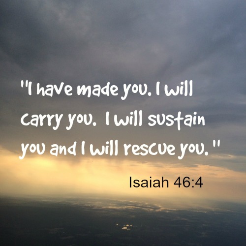 Silent Sunday 10-25-2015