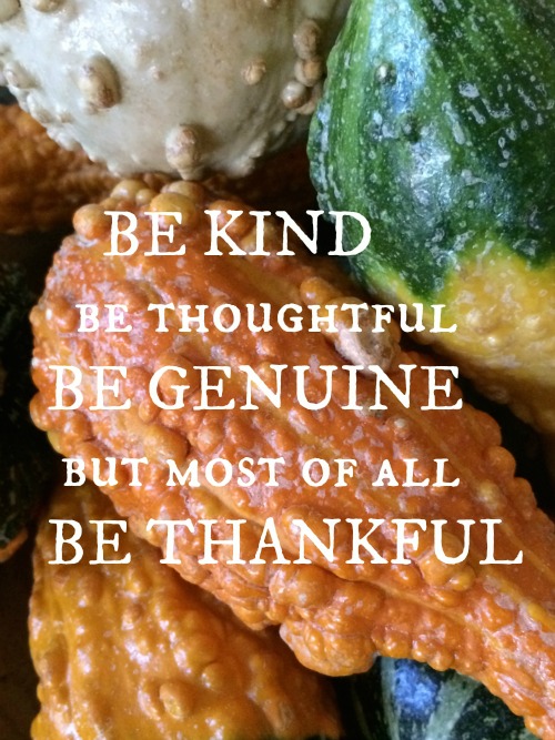 Silent Sunday 11-22-2015