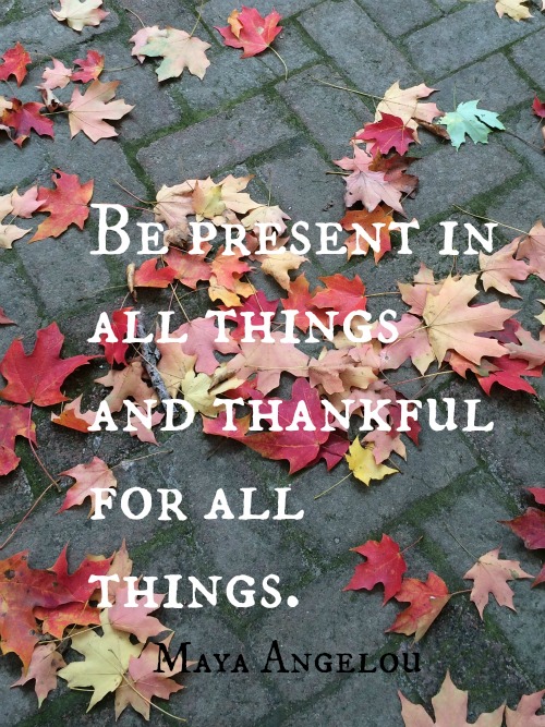 Silent Sunday 11-29-2015