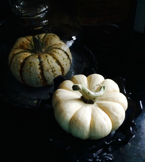 My Thanksgiving Table Ideas