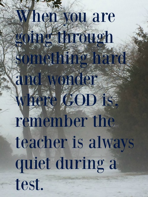 Silent Sunday 1-31-2016