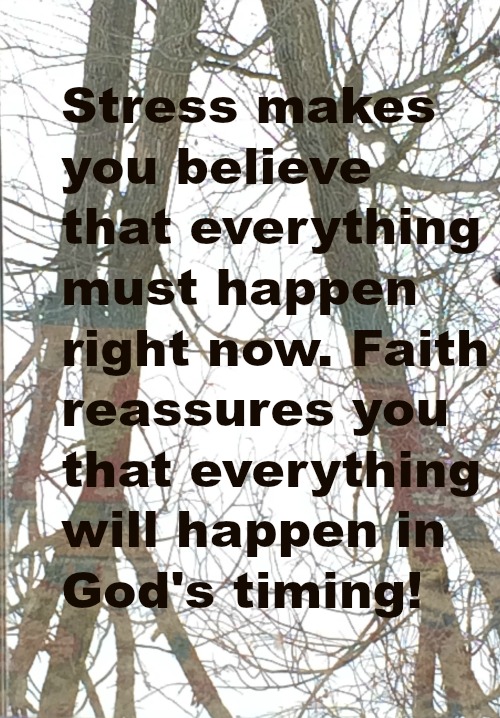 Silent Sunday 2-21-2016